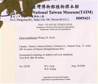 心果山核桃藏品圖，第2張